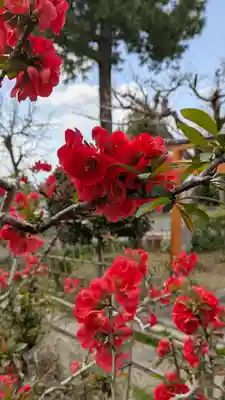 惠心院(京都府)
