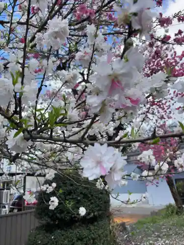 日枝神社の自然