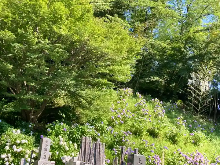 天台宗 長窪山 正覚寺の自然