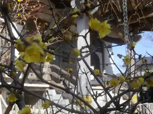 妙隆寺のその他建物