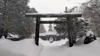 琴似神社(北海道)