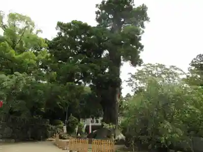 筑波山大御堂のその他建物