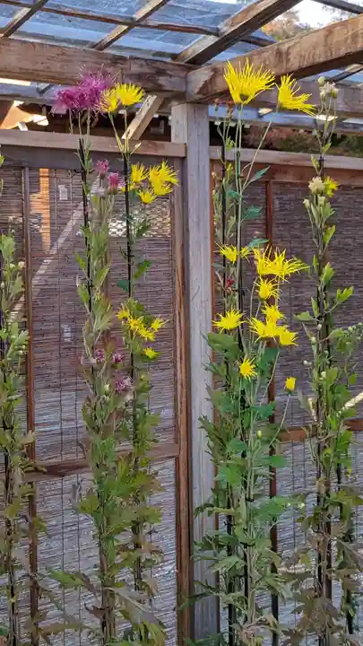 大覚寺(京都府)