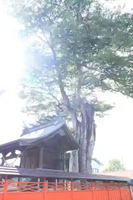 橘神社(埼玉県)