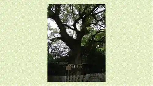 熱田神宮(愛知県)