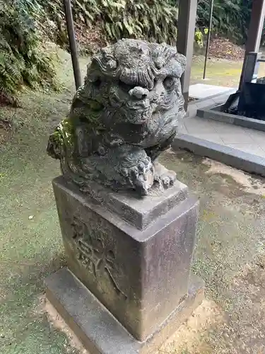 富岡八幡宮の狛犬