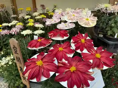 美奈宜神社(福岡県)