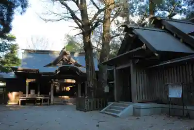 天岩戸神社(宮崎県)