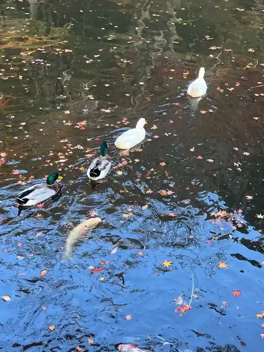 円通寺(兵庫県)