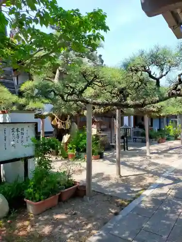 妙典寺(三重県)