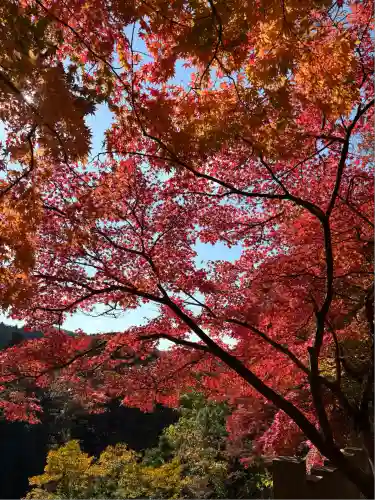 永源寺(滋賀県)