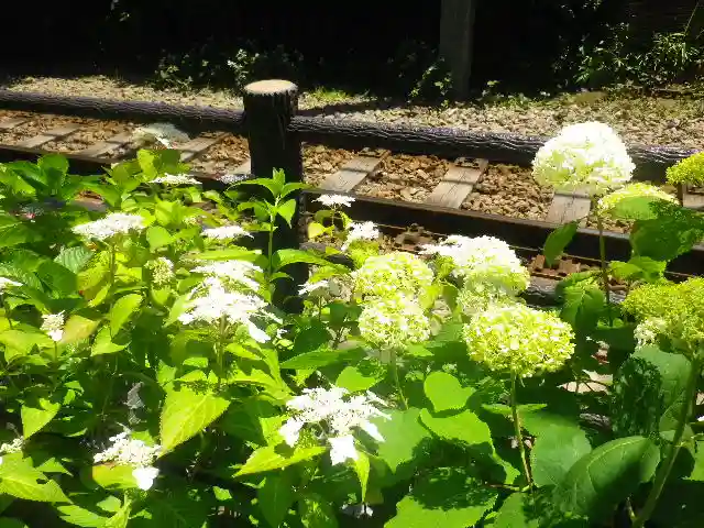 御霊神社の自然