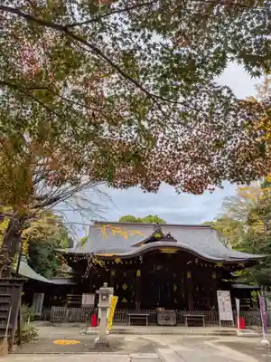 渋谷氷川神社(東京都)