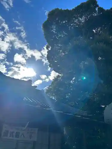 大甕神社(茨城県)