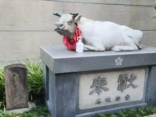 櫻天神社の狛犬