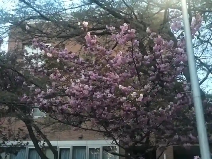 江南神社(北海道)