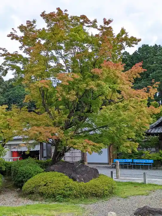 妙満寺(京都府)