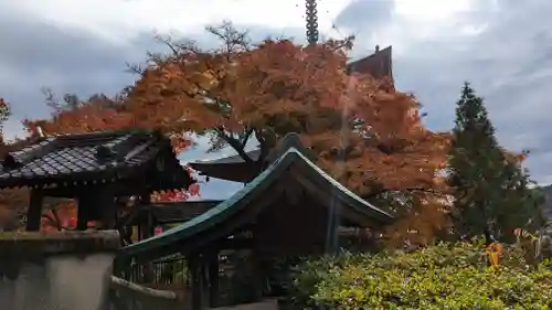 三明院(京都府)