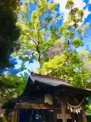 大鷲神社の本殿