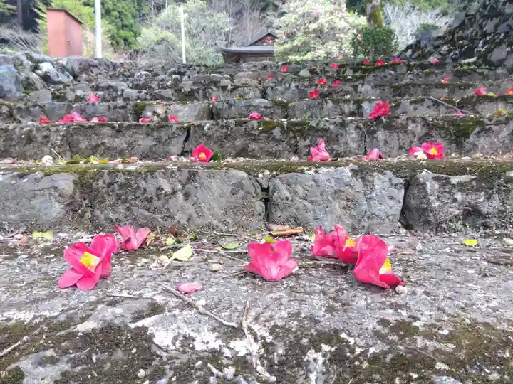 熊野神社(京都府)