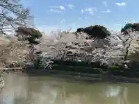 鶴岡八幡宮の景色