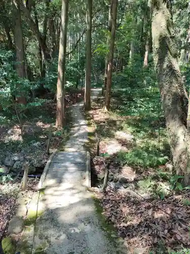 土佐神社の自然