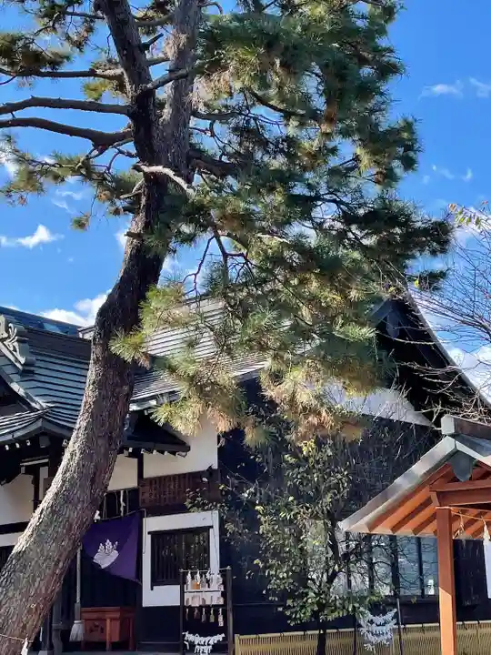 阿佐ヶ谷神明宮(東京都)