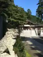 高麗神社の狛犬
