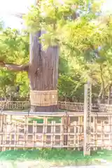 日高神社(岩手県)