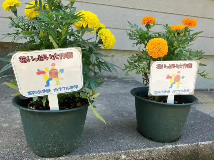 高彦根神社(新潟県)