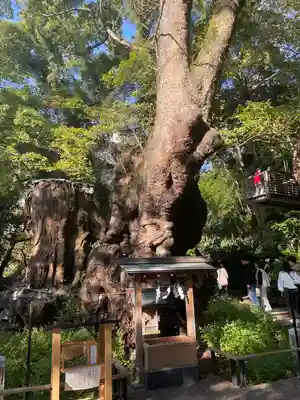 來宮神社(静岡県)