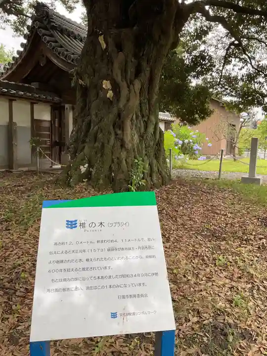 龍渕寺(愛知県)