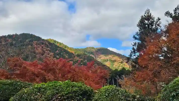 後鳥羽天皇・順徳天皇 大原陵(京都府)