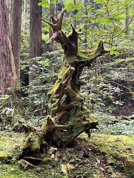 御岩神社(茨城県)