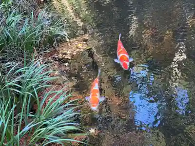 赤城神社(三夜沢町)(群馬県)