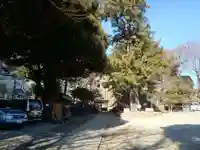 駒込富士神社の庭園