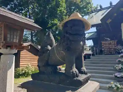 札幌諏訪神社の狛犬
