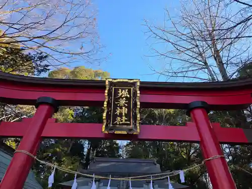 堀兼神社（浅間宮）(埼玉県)