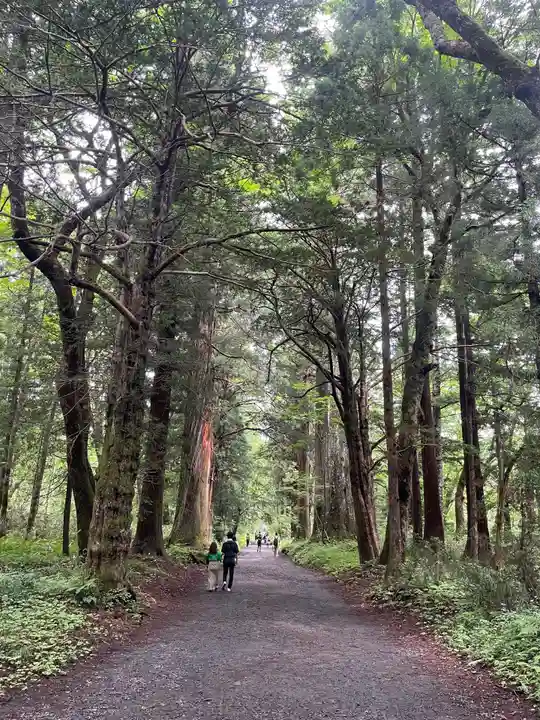 戸隠神社奥社(長野県)