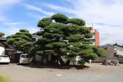 上田大神宮(長野県)