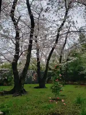 福蔵院(東京都)