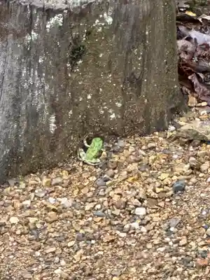 出雲大社北島国造館 出雲教(島根県)