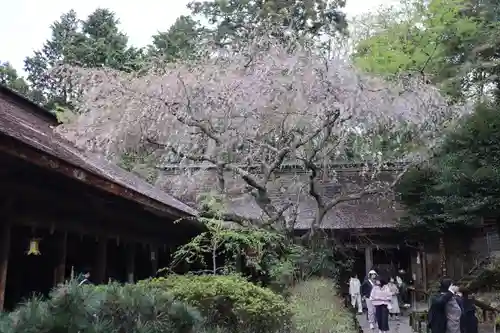 吉野水分神社（吉野町）(奈良県)