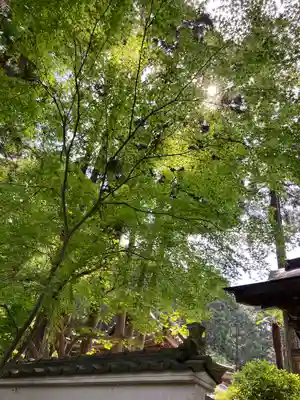 妙巌寺のその他建物