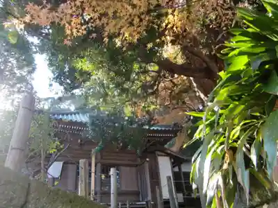 安國論寺（安国論寺）(神奈川県)