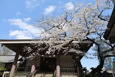 常圓寺(東京都)