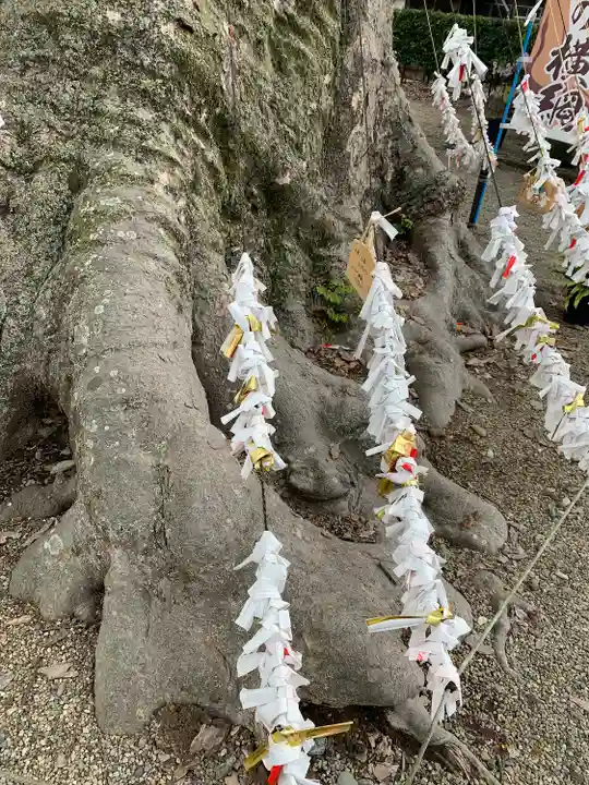 八枝神社(埼玉県)