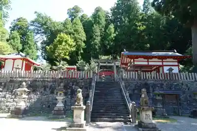 春日神社の本殿・本堂