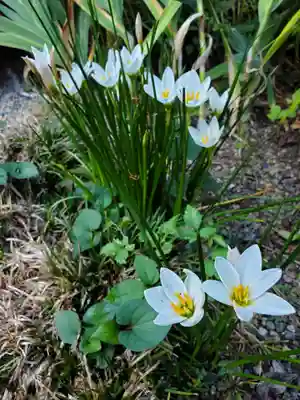 沙沙貴神社(滋賀県)