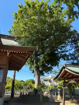椎宮神社(徳島県)
